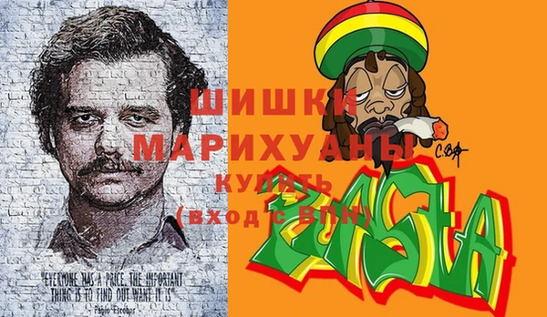 хмурый Алзамай