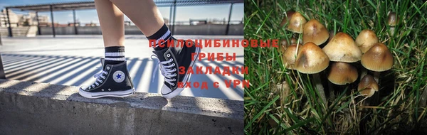 амф Алексин