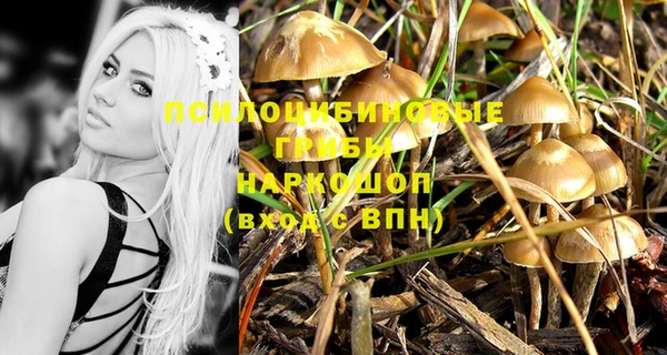амф Алексин