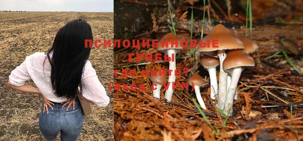 амф Алексин